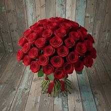Букет 55 Красных роз Фридом #REPLACE_PRED# Шебекино