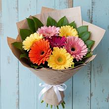 Букет цветов из:  Герберы #REPLACE_PRED# Шебекино