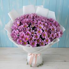 Букет цветов из:  Хризантемы в Шебекино