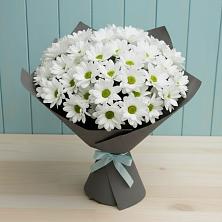 Букет цветов из:  Хризантемы в Шебекино
