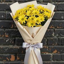 Букет цветов из:  Хризантемы в Шебекино