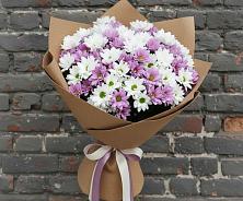 Букет цветов из:  Хризантемы в Шебекино