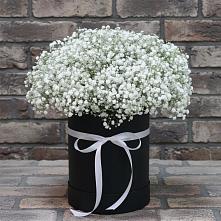 Цветочная композиция из Гипсофила в шляпной коробке в Шебекино