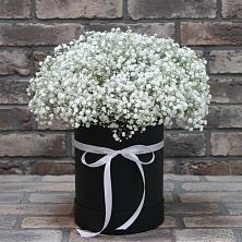 Цветочная композиция из Гипсофила в шляпной коробке в Шебекино