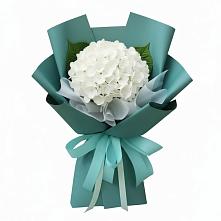 Букет цветов из:  Гортензия в Шебекино